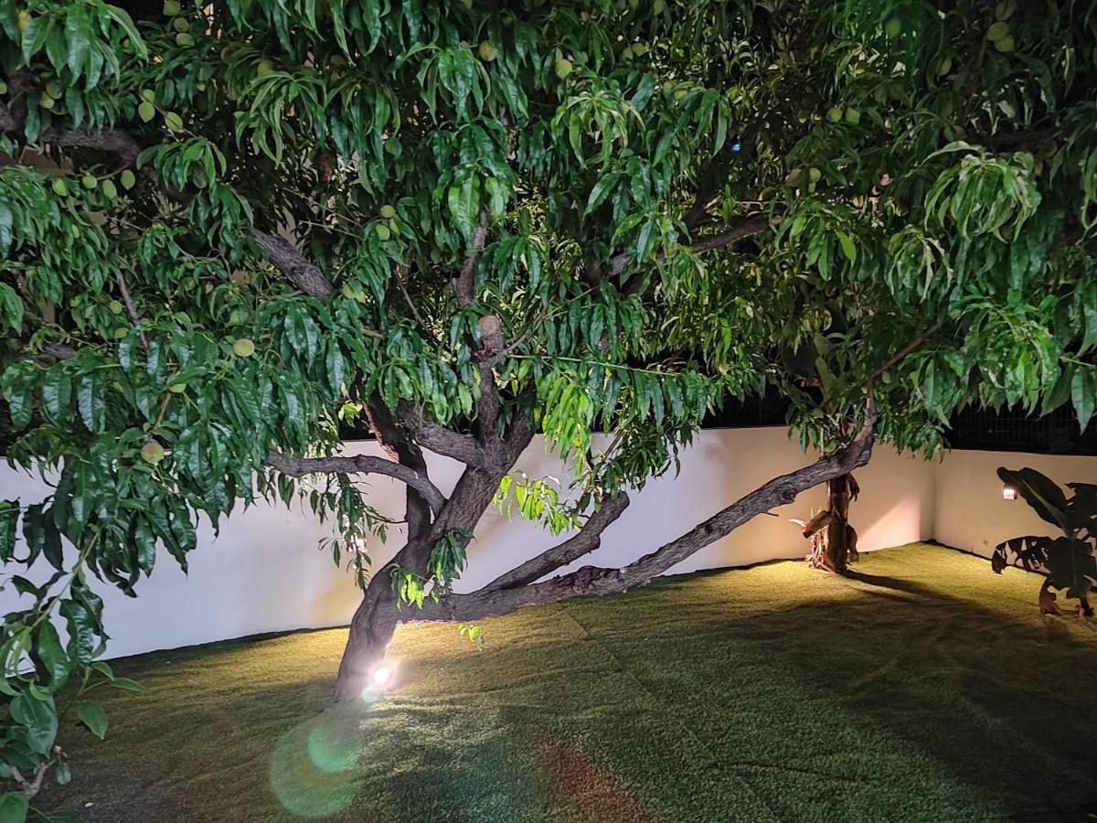 Callisto Apartment Chania (Crete)