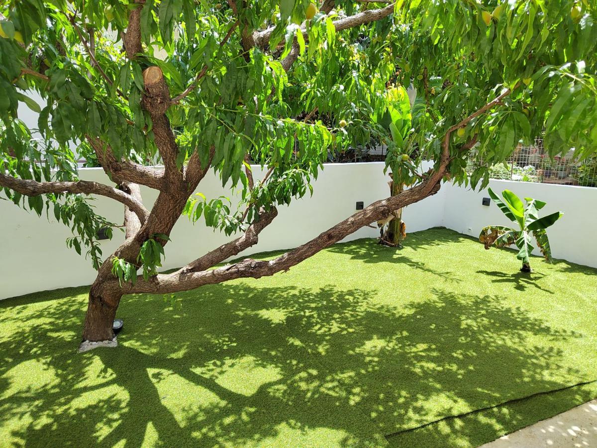Apartment Callisto Chania (Crete)
